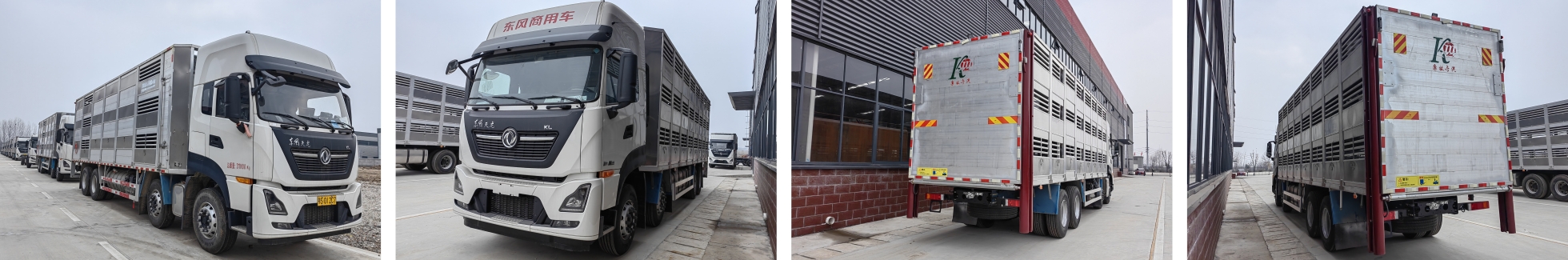 Dongfeng KL Livestock Transport Truck