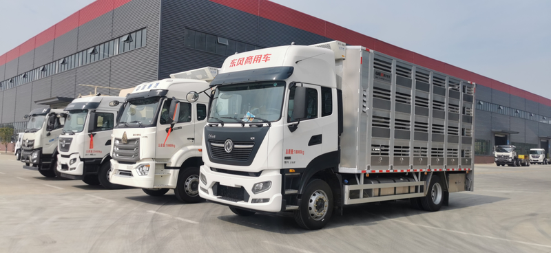 Dongfeng KR 290HP Transport Transport