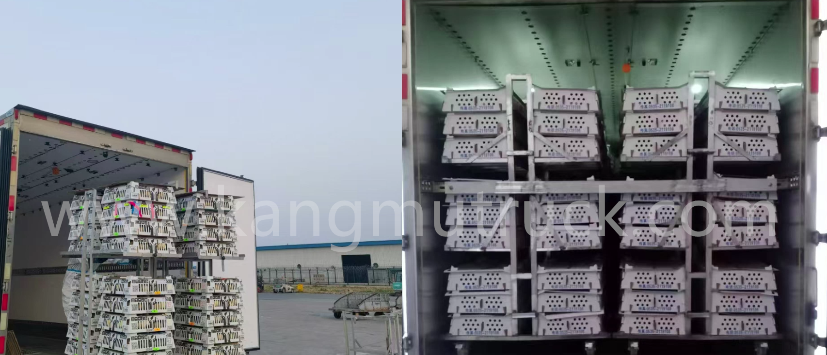 Isuzu Fully Automated Temperature-Controlled Poultry Transport Truck