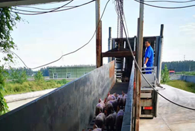 Livestock-transport-truck.png