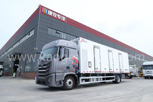 Foton Auman 4X2 Day-Old Chicken Truck