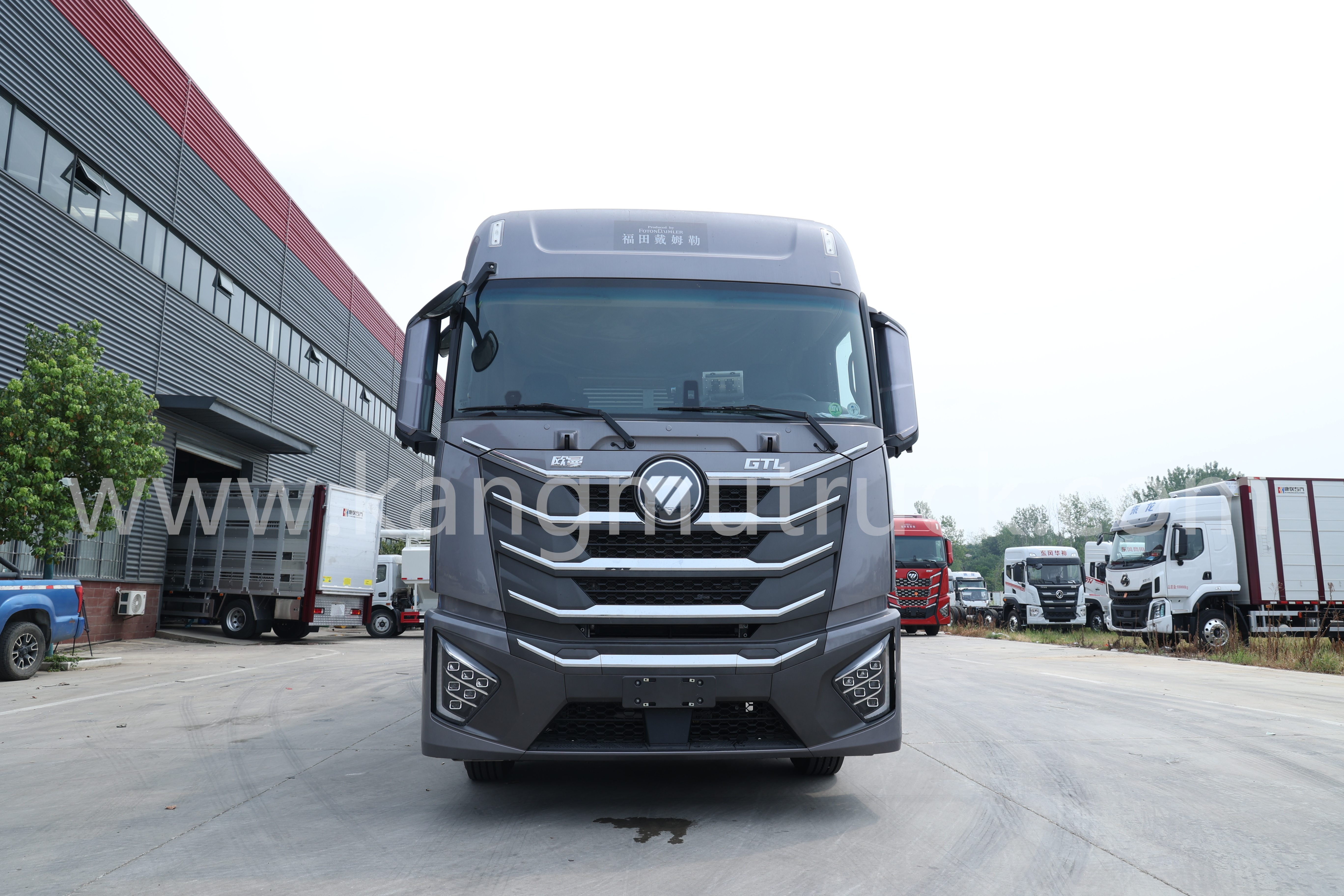 Foton Auman 4x2 Day Chicken Truck