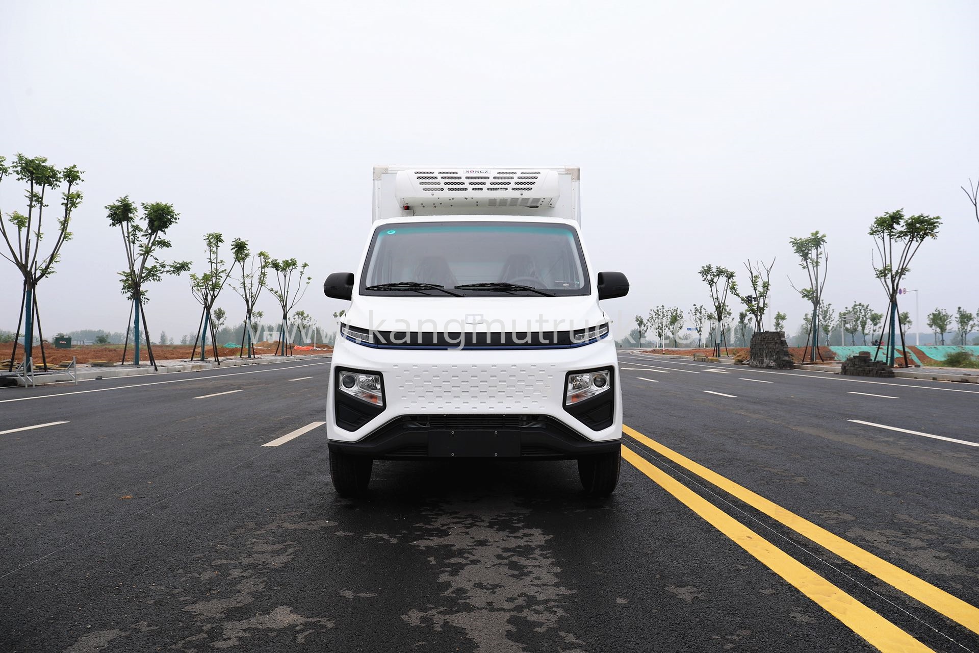 Geely F1E Pure Electric Refrigerated Truck