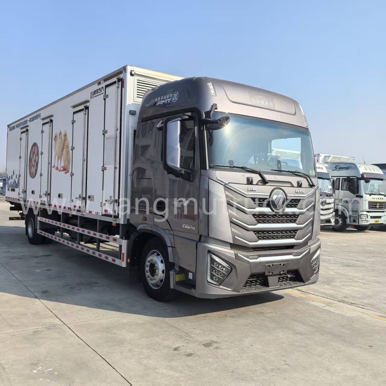 Foton 4X2 Day-Old Chicken Truck