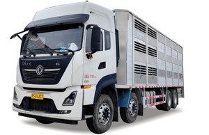 Dongfeng KL Livestock Transport Truck