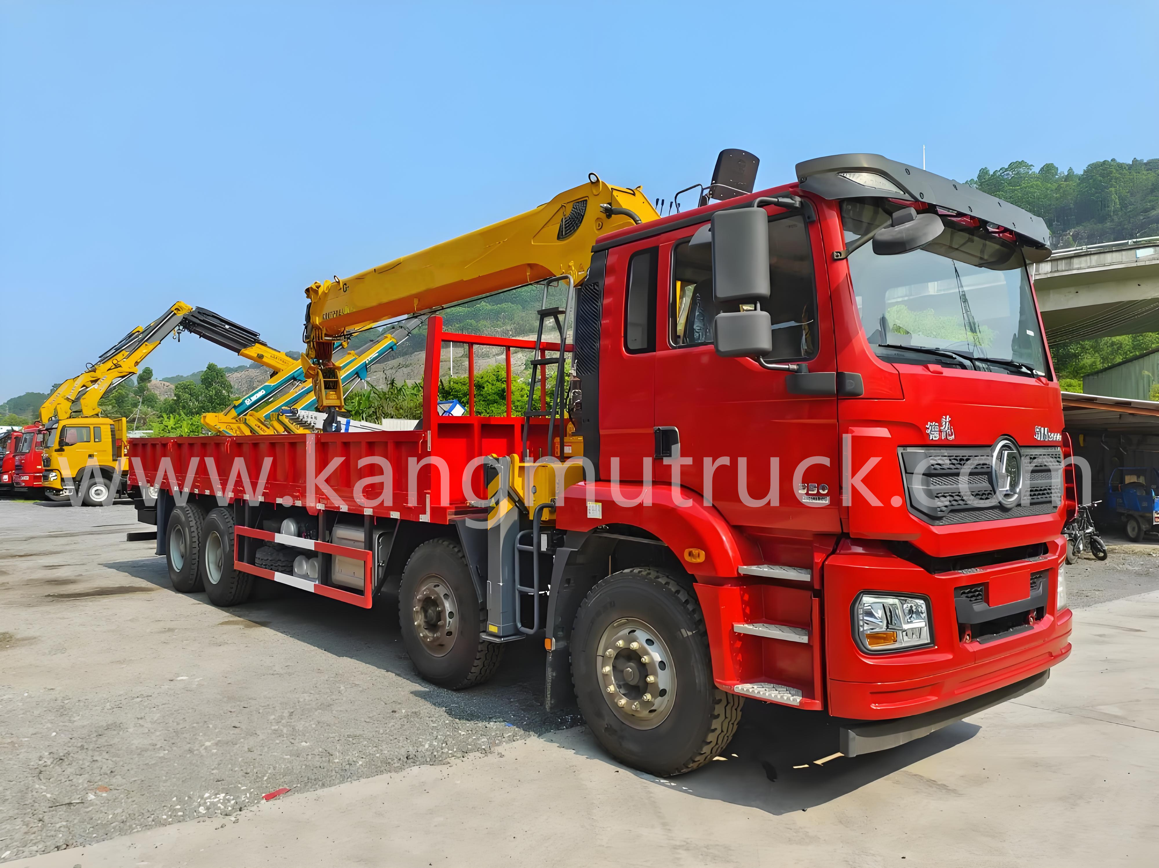 Shacman Delong 16Tons Telescopic Straight Arm Crane Truck