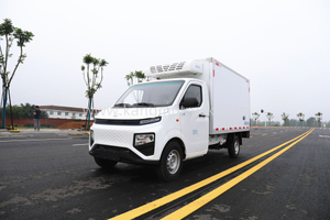 Geely F1E Pure Electric Refrigerated Truck